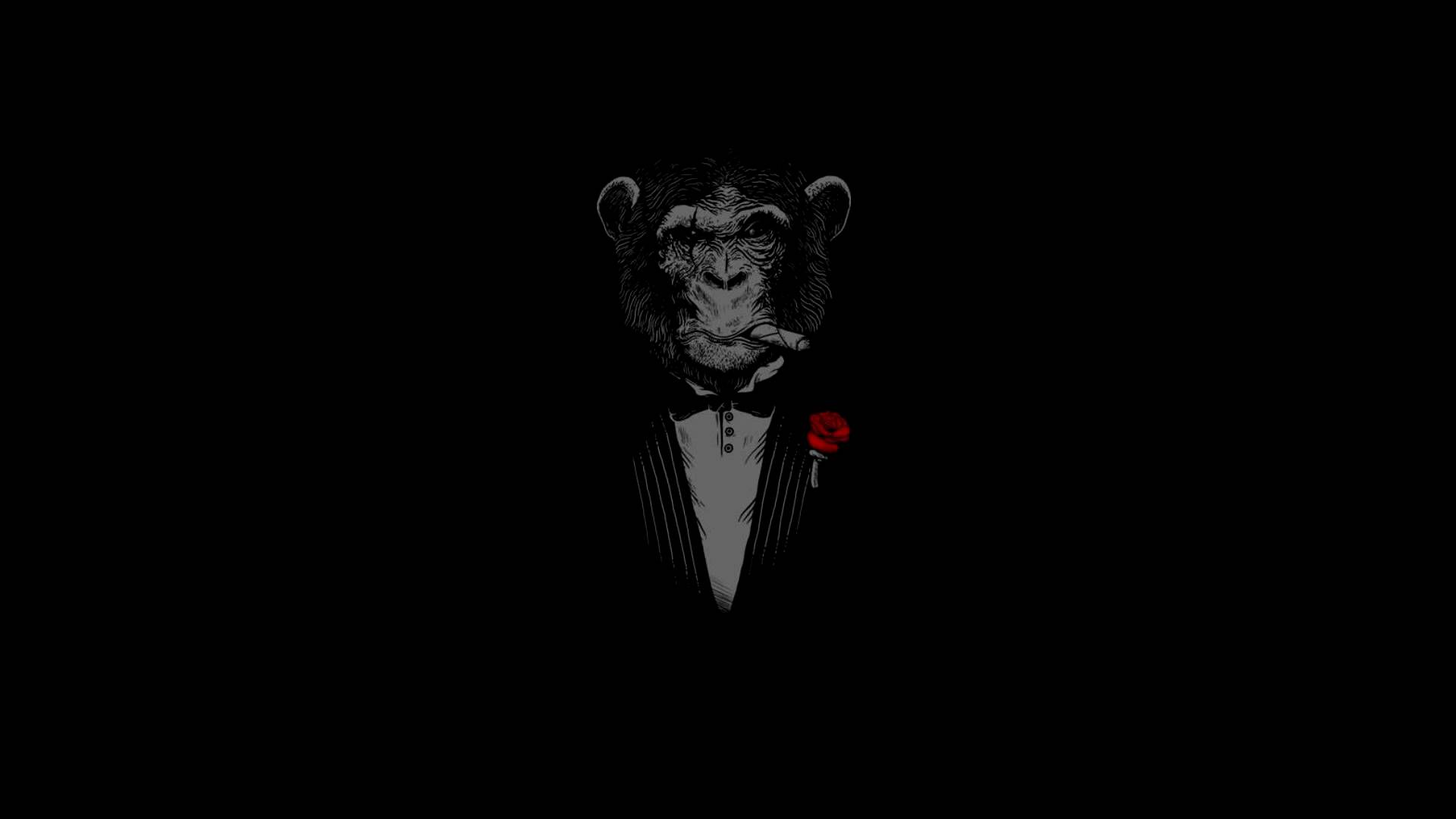 BNG Freestyle Hopa Reiter Test version [Beat by Loco beats]