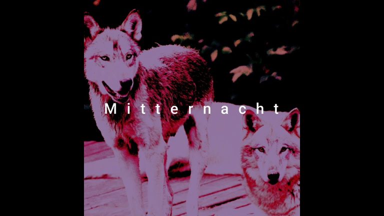 Mitternacht – Murrkey, Danesh, Charlie Chino