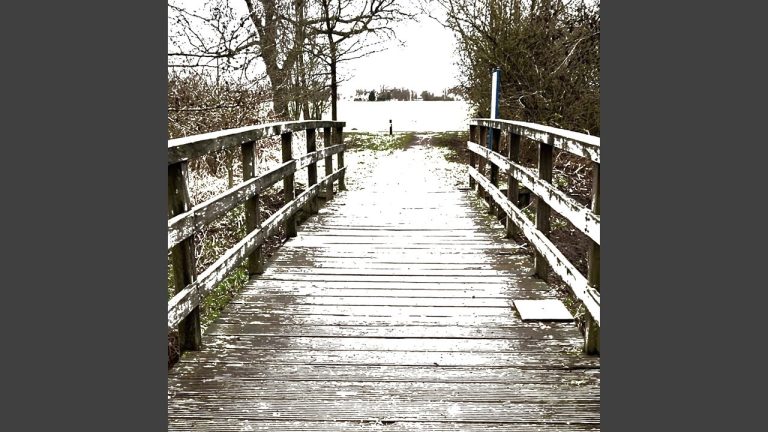 Paradies – Tresenkehle