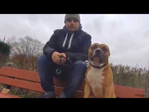 Bester Freund – Davido Dicaprio