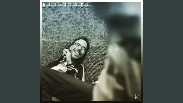 Bad Vibes – Krille