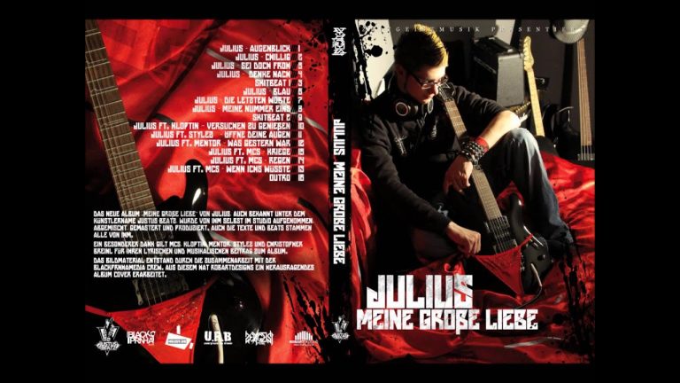Meine Große Liebe (Snippet) – Julius