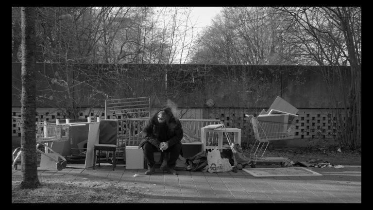 My Rock'n'Roll – Sinus