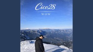 Cico28 X Fbn - Wow