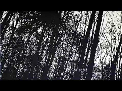 KillYourself - Kaiba X Fish on a Trip